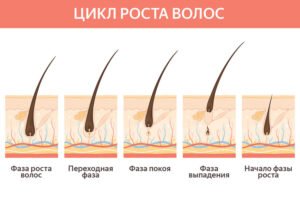 Как ускорить рост волос?