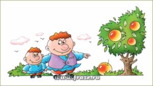 Яблоко от яблони недалеко падает
